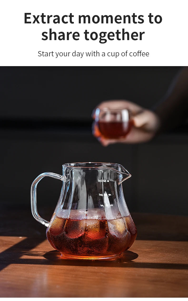 Bincoo 450ml 550ml Glass Coffee Server - Heat Resistant Barista Carafe for Cold Brew and Espresso Easy to Clean Drip Coffee Pot
