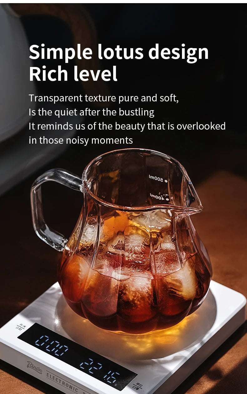 Bincoo 450ml 550ml Glass Coffee Server - Heat Resistant Barista Carafe for Cold Brew and Espresso Easy to Clean Drip Coffee Pot