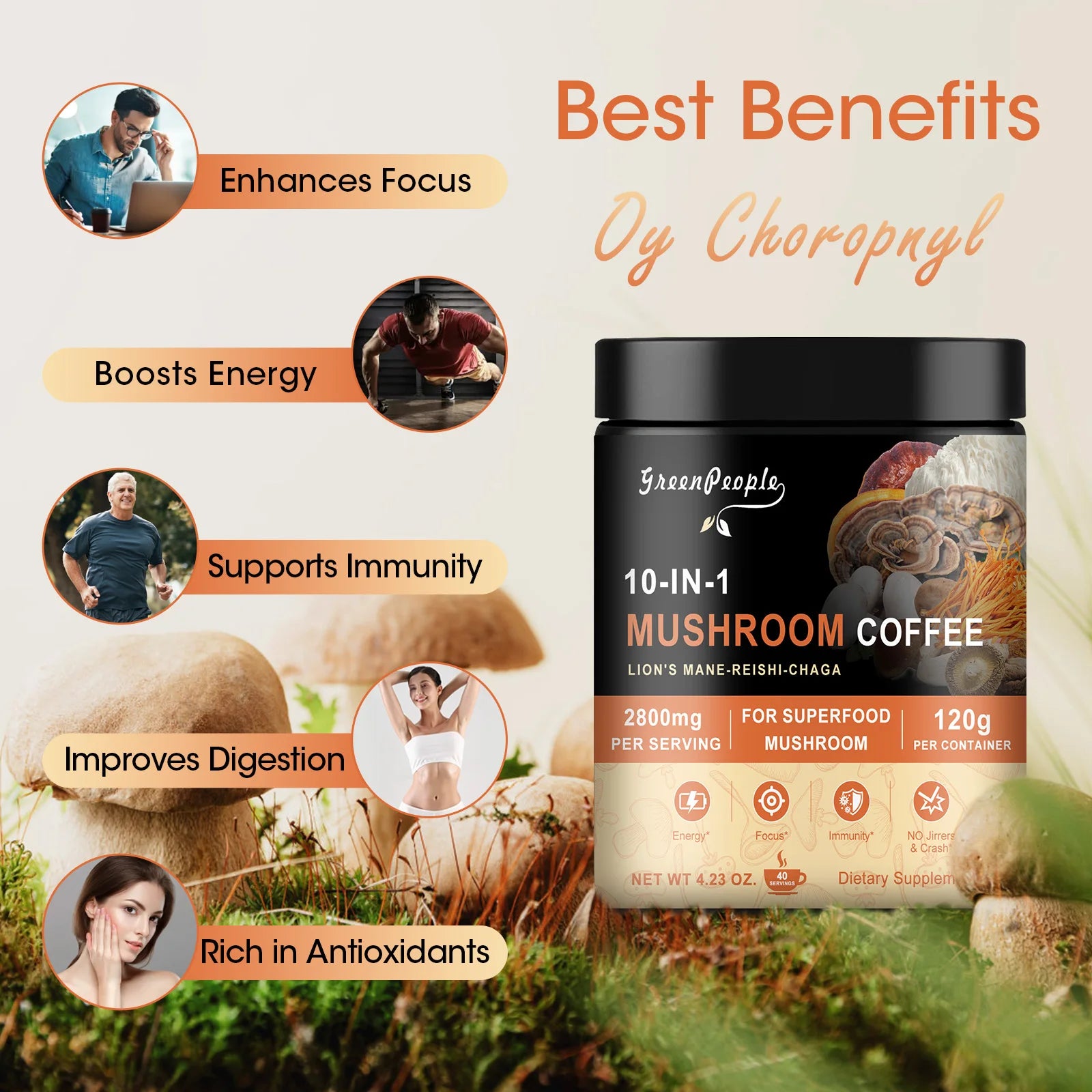 Organic Mushroom Ground Coffee with Lion's Mane Mushroom and Chaga for Better Focus and Immune Support Memory| 120g