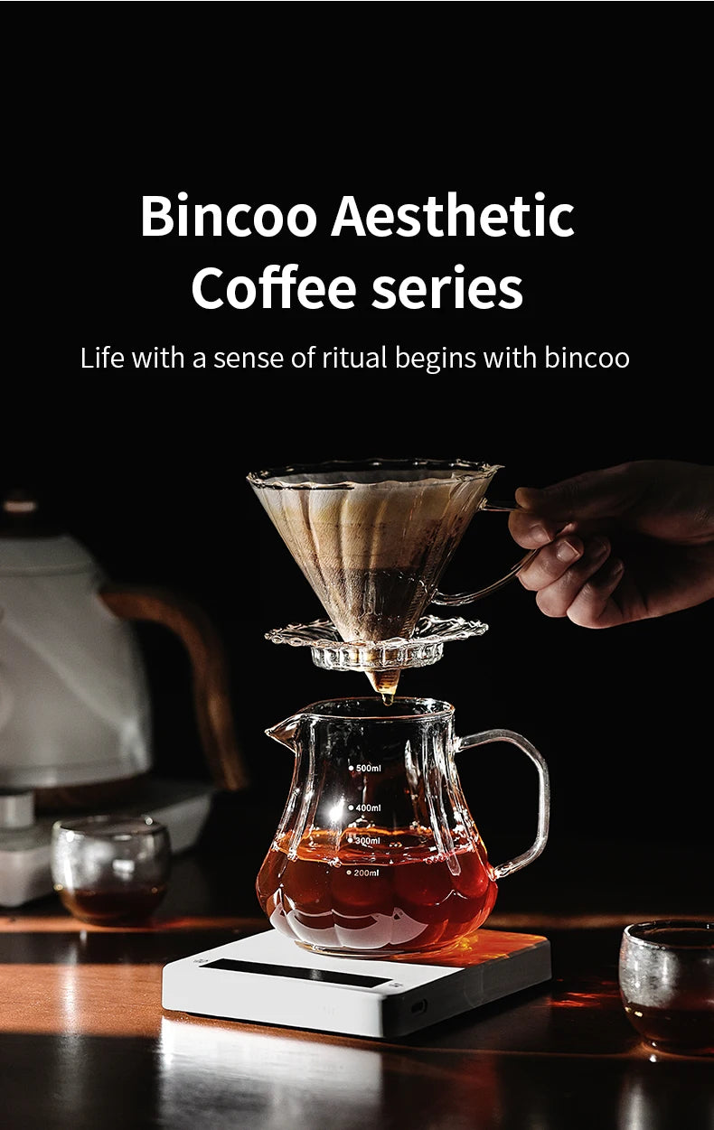 Bincoo 450ml 550ml Glass Coffee Server - Heat Resistant Barista Carafe for Cold Brew and Espresso Easy to Clean Drip Coffee Pot