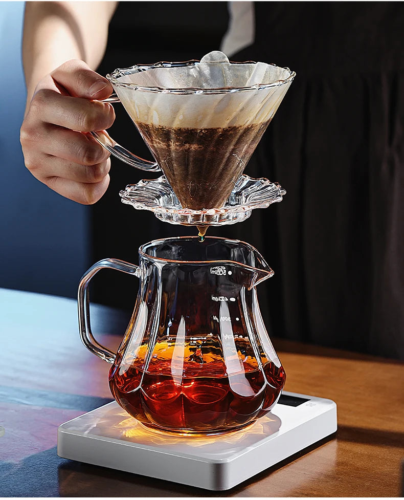 Bincoo 450ml 550ml Glass Coffee Server - Heat Resistant Barista Carafe for Cold Brew and Espresso Easy to Clean Drip Coffee Pot