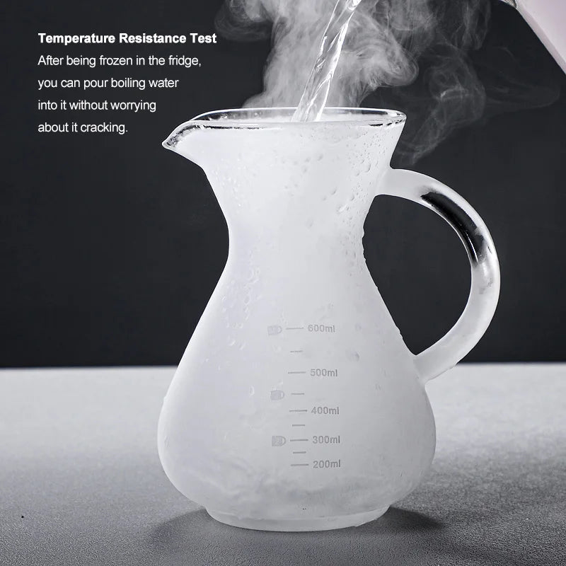 High Borosilicate Glass Coffee Sharing Pot, Pour Over Coffee Maker Set with Drip & Cold Brew Filter, Home Manual Coffee Brewer