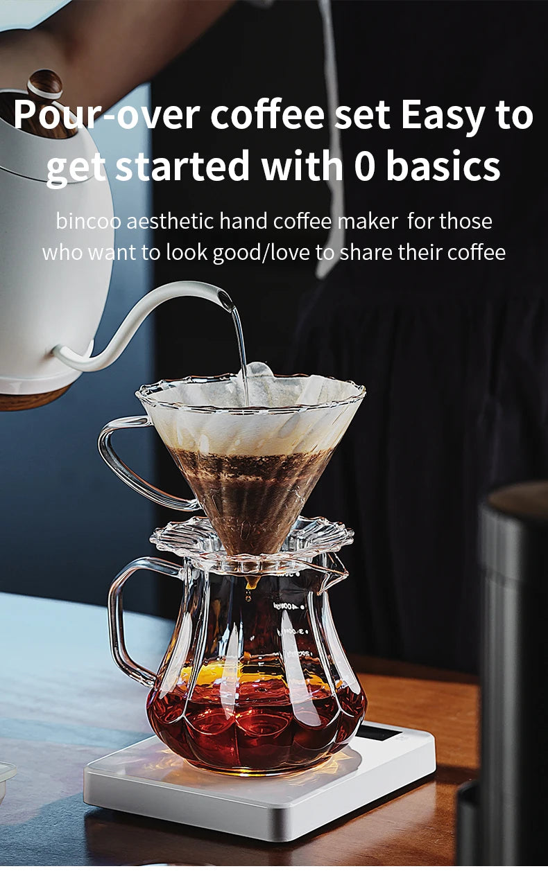 Bincoo 450ml 550ml Glass Coffee Server - Heat Resistant Barista Carafe for Cold Brew and Espresso Easy to Clean Drip Coffee Pot